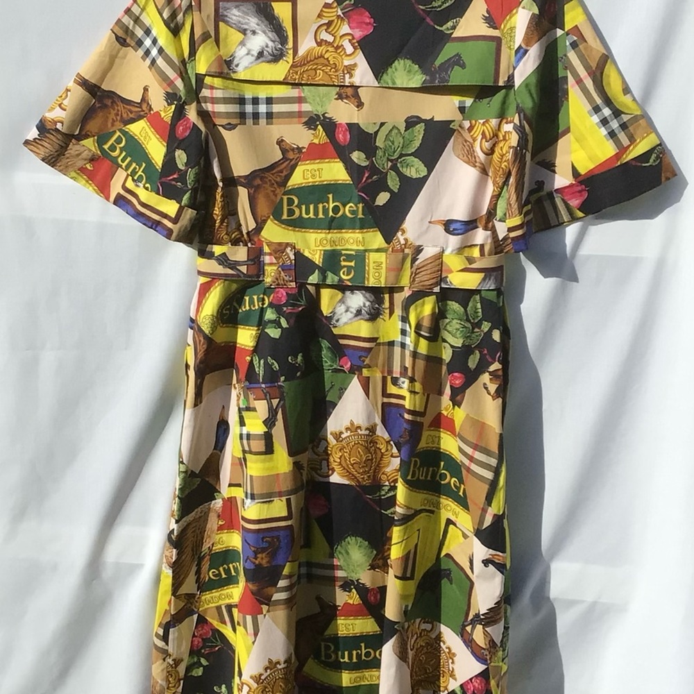 Burberry Dress - Picture 2 of 5